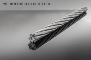 Prestressed concrete and stranded wires